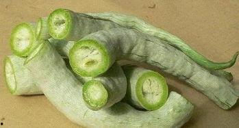 吃蛇瓜视频搞笑瞬间,搞笑瞬间笑翻全场